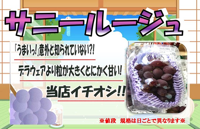 サニールージュ