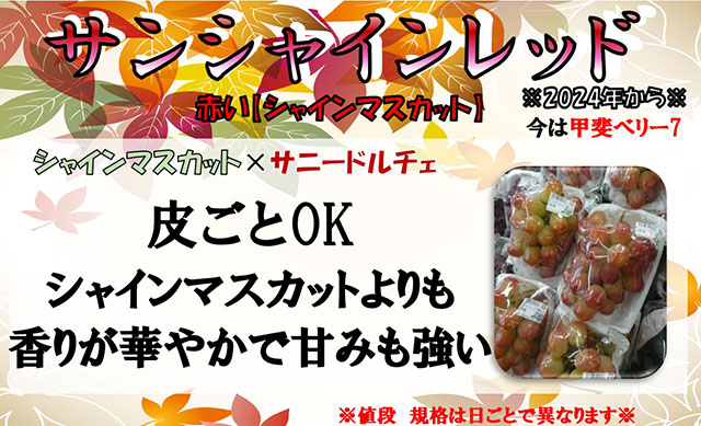 サンシャインレッド