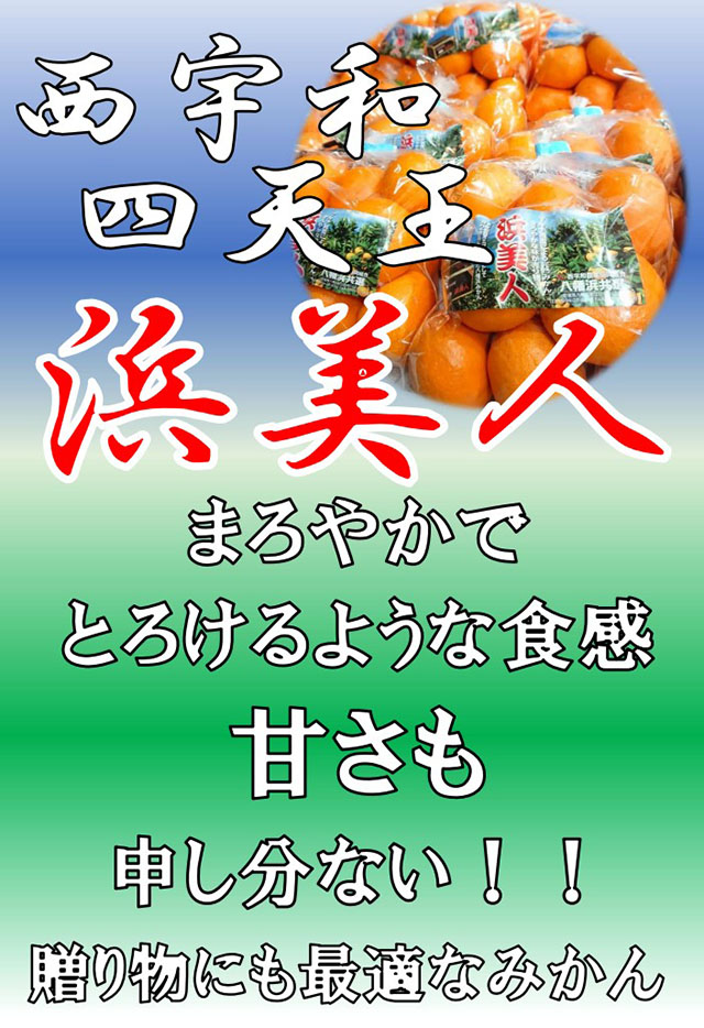浜美人