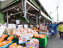 川口店画像